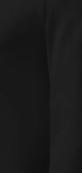 Izdržljiva muška majica s dugim rukavima - Kroj s bočnim šavovima